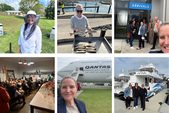Kylies travels - May 2025